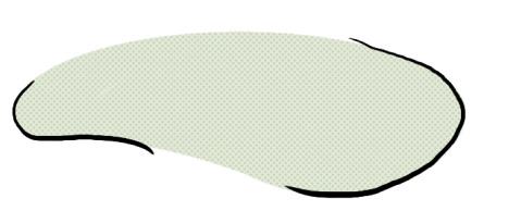Grass Illustration